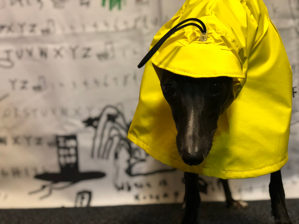 "Craving sunny days" RAINCOAT-YELLOW