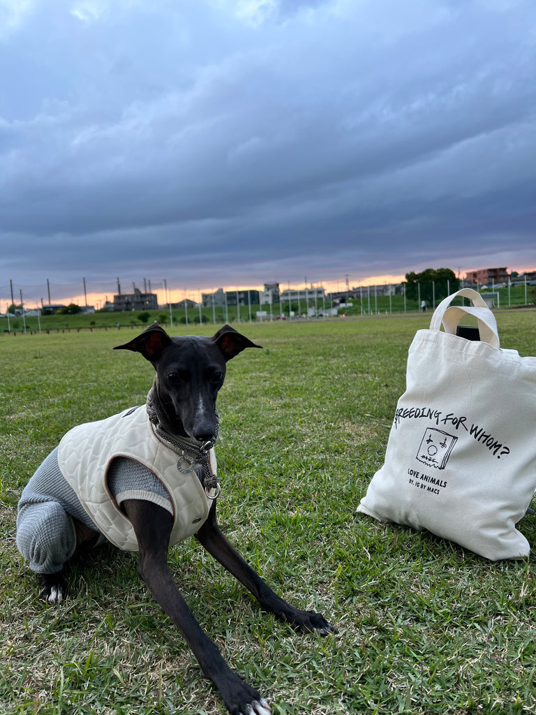 iG_BY_MACS Human Collection ECO-BAG