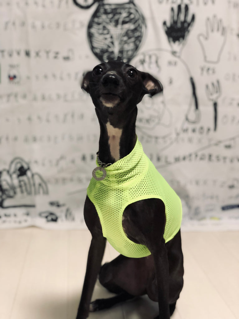 "Engine" Mesh No-sleeve-Fluorescence Yellow