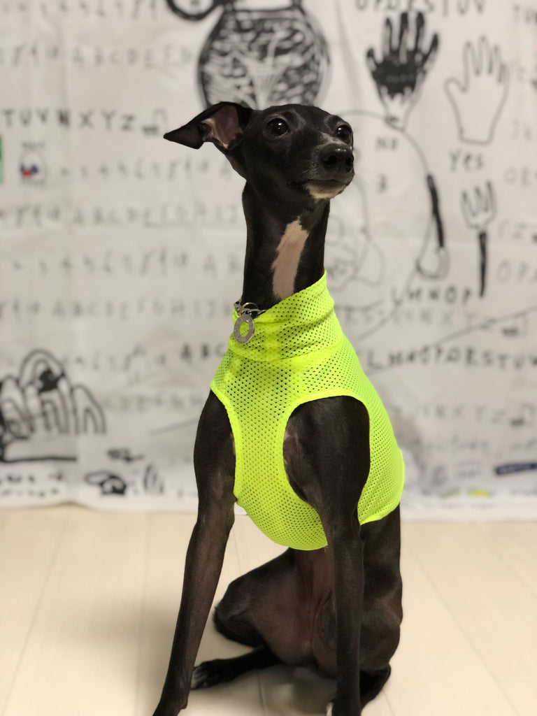 "Engine" Mesh No-sleeve-Fluorescence Yellow