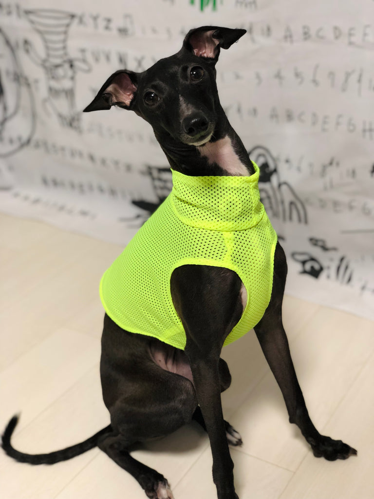 "Engine" Mesh No-sleeve-Fluorescence Yellow