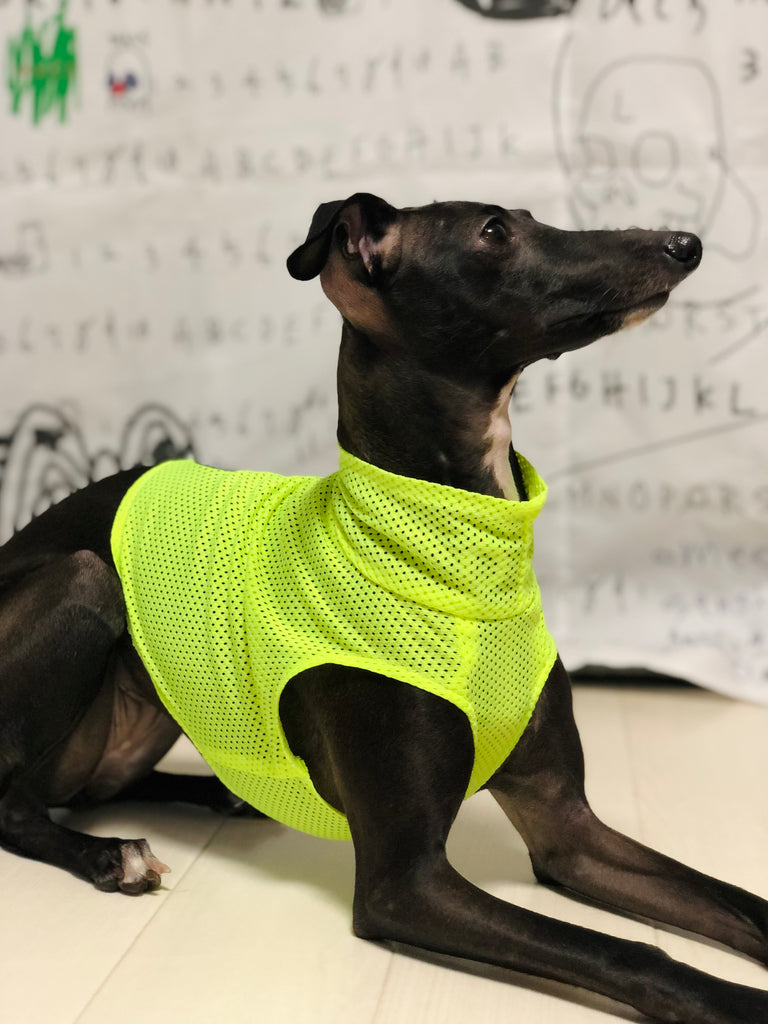 "Engine" Mesh No-sleeve-Fluorescence Yellow