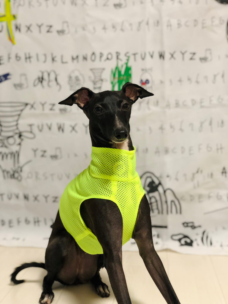 "Engine" Mesh No-sleeve-Fluorescence Yellow