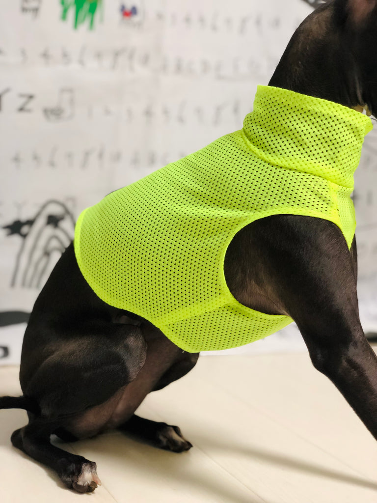 "Engine" Mesh No-sleeve-Fluorescence Yellow