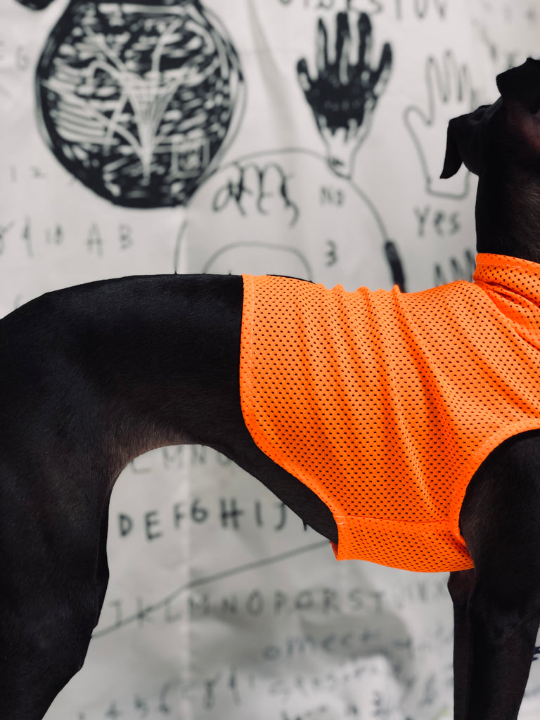 "Engine" Mesh No-sleeve-ORANGE