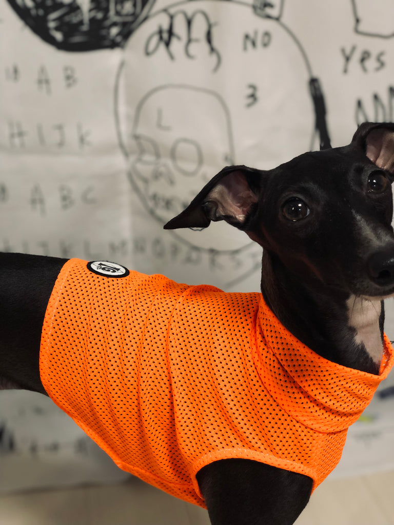 "Engine" Mesh No-sleeve-ORANGE