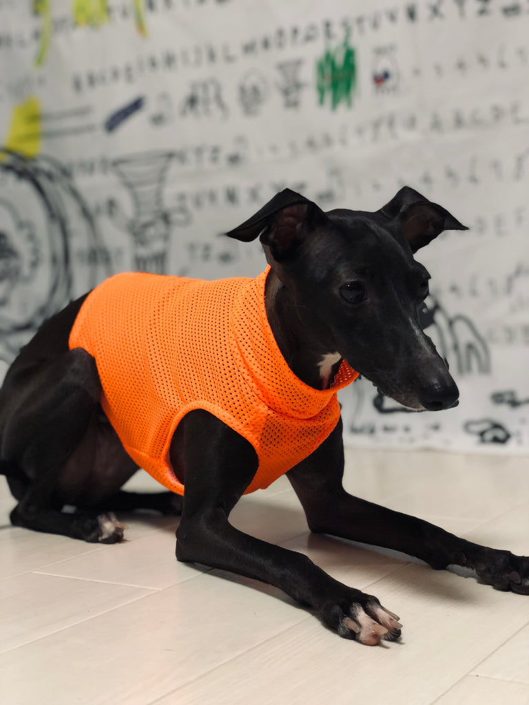 "Engine" Mesh No-sleeve-ORANGE