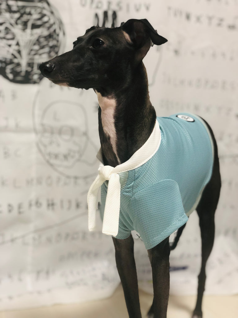 "Engine" Marine Look T-shirt-BLUE