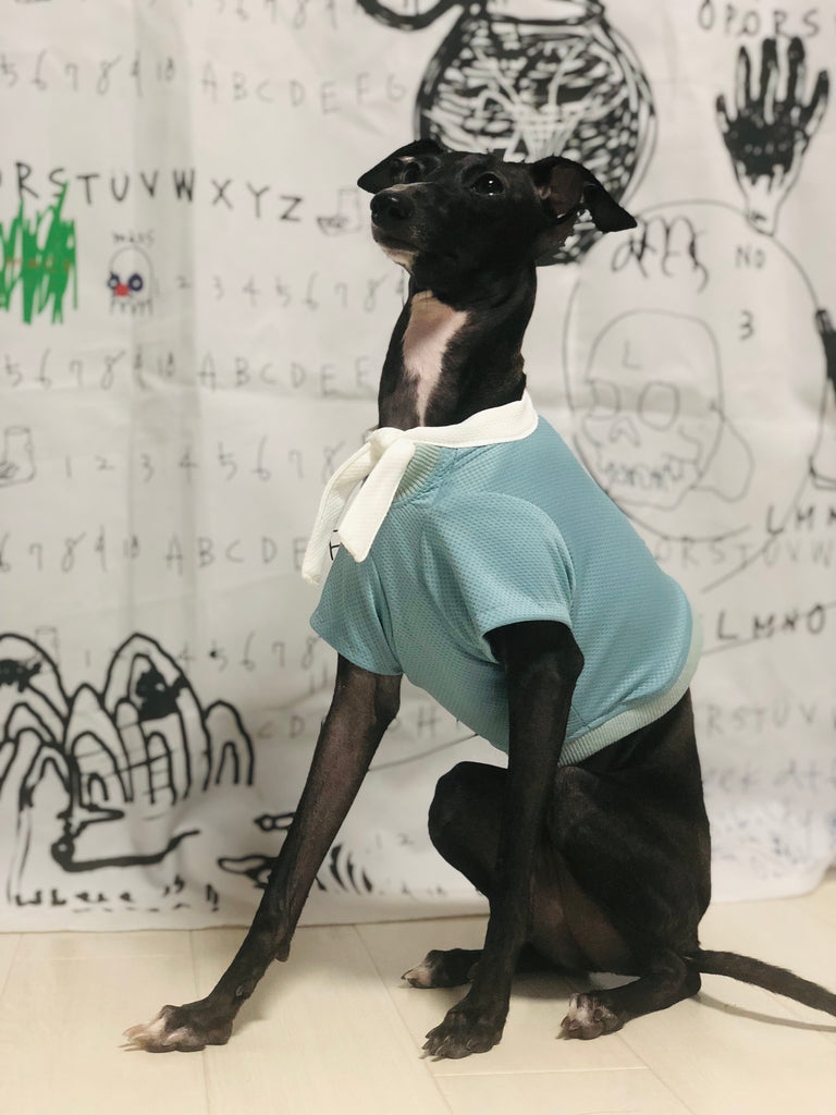 "Engine" Marine Look T-shirt-BLUE