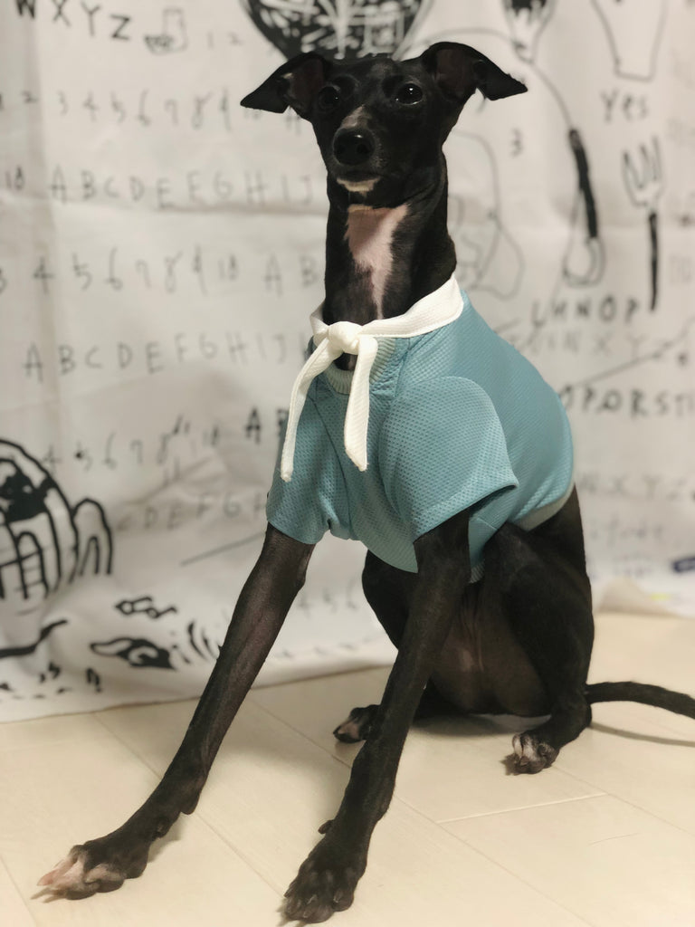 "Engine" Marine Look T-shirt-BLUE