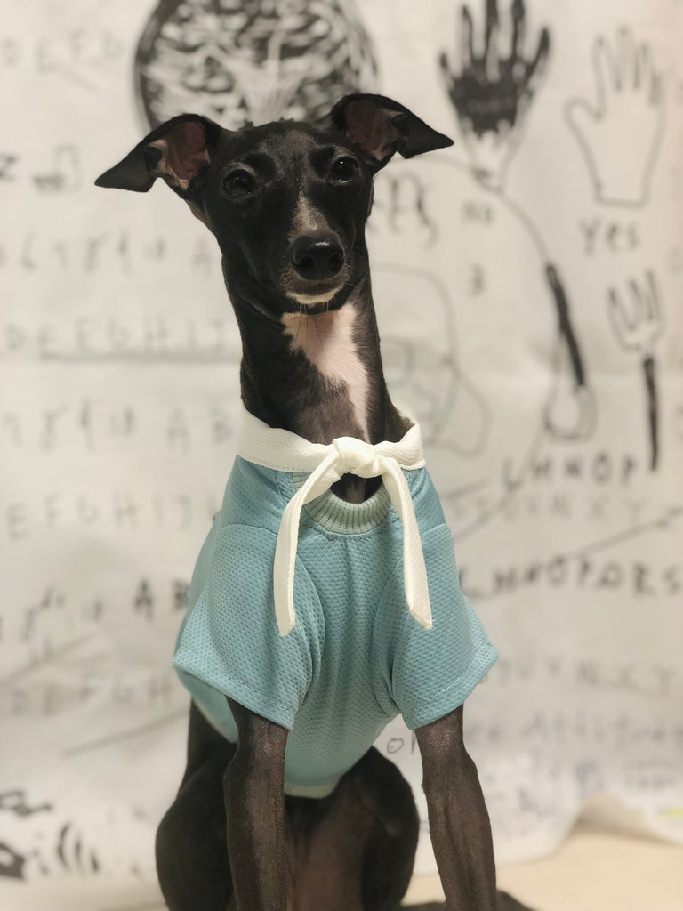 "Engine" Marine Look T-shirt-BLUE