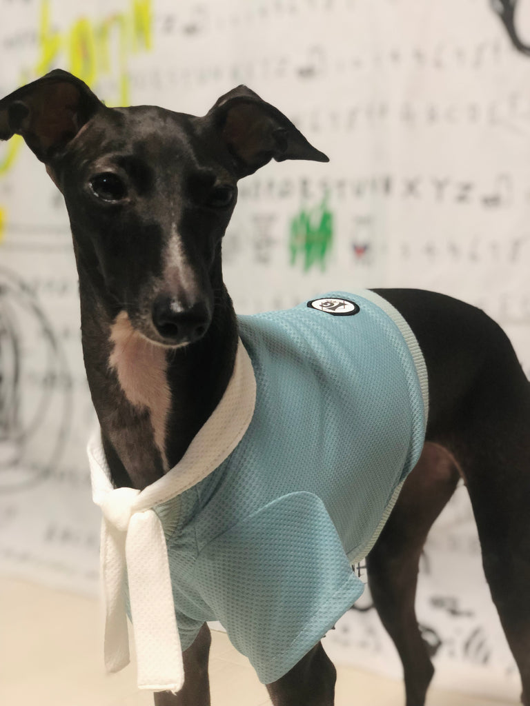 "Engine" Marine Look T-shirt-BLUE