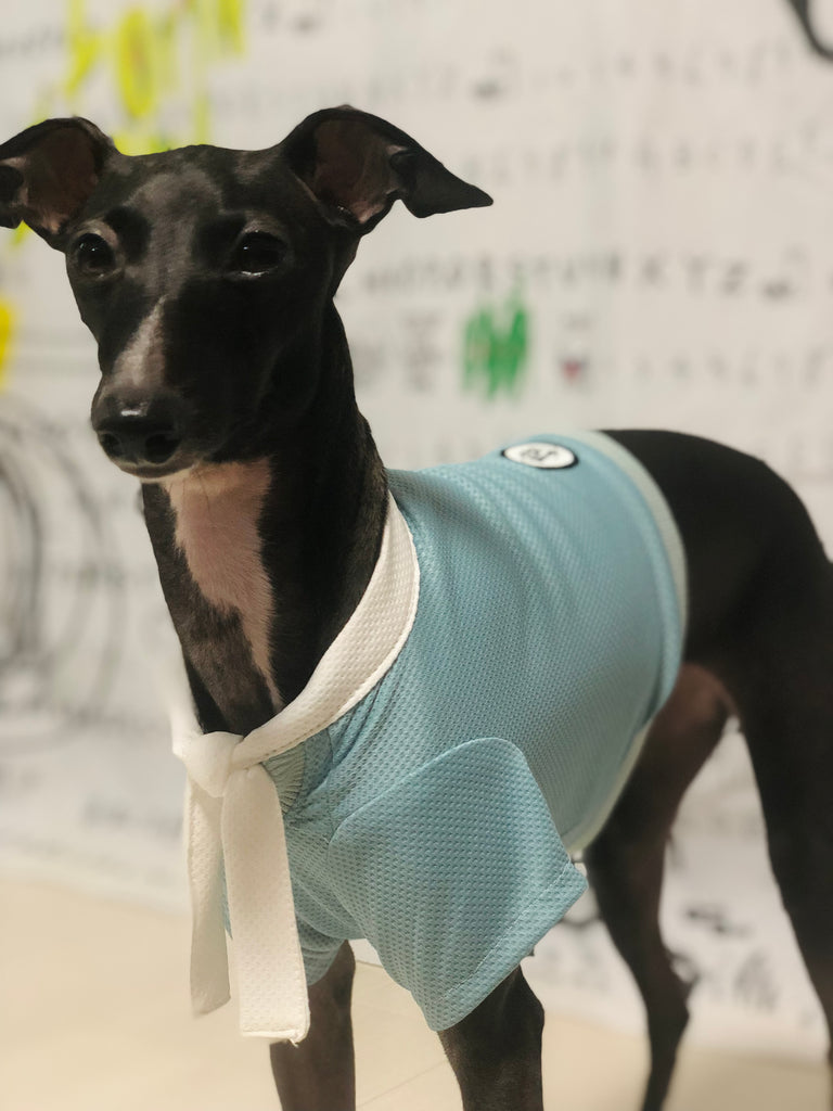 "Engine" Marine Look T-shirt-BLUE