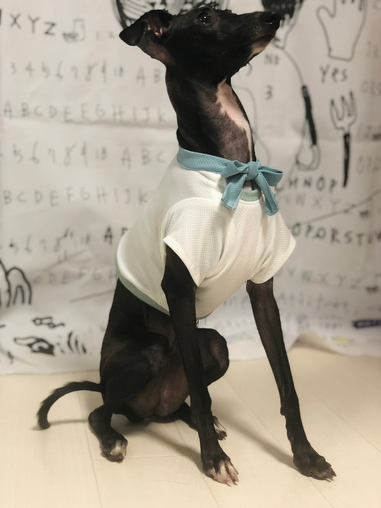 "Engine Marine Look T-Shirt -WHITE