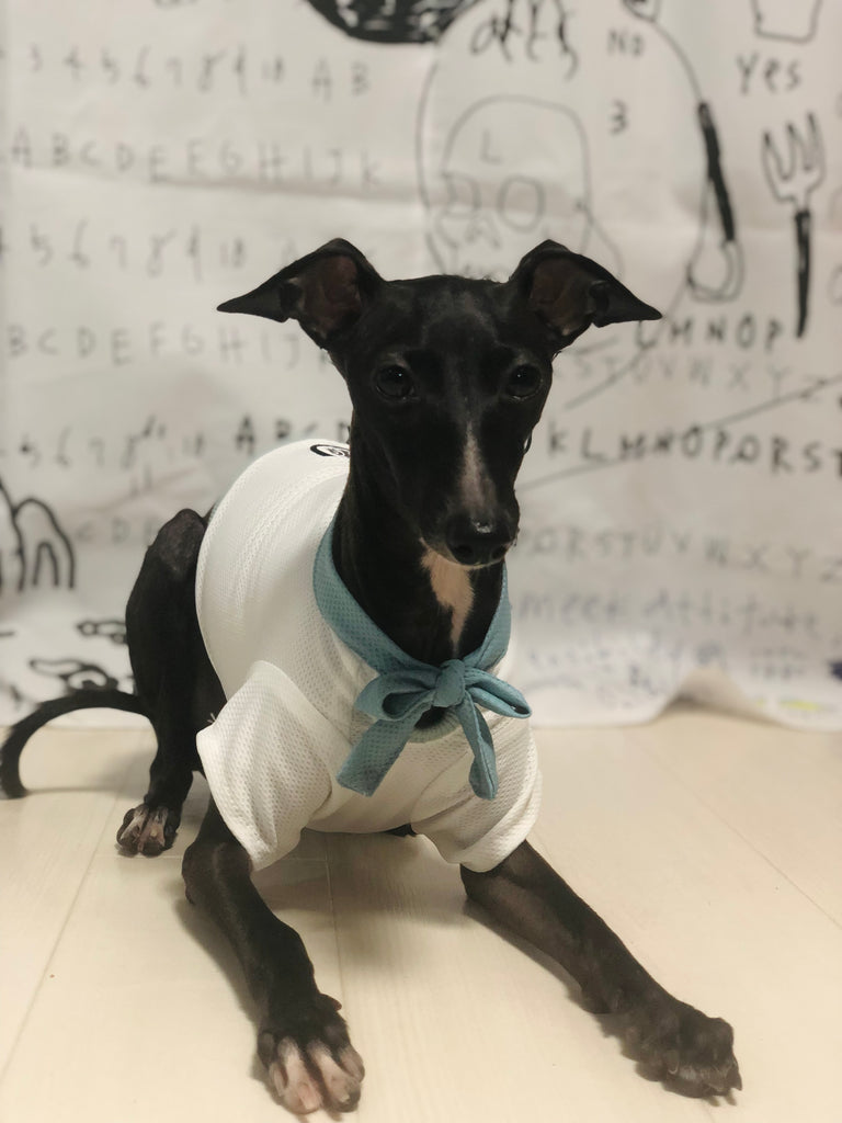 "Engine Marine Look T-Shirt -WHITE