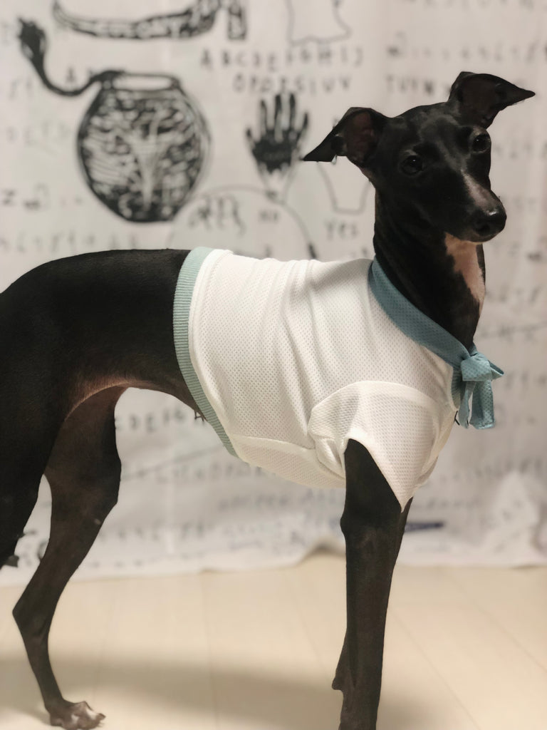 "Engine Marine Look T-Shirt -WHITE