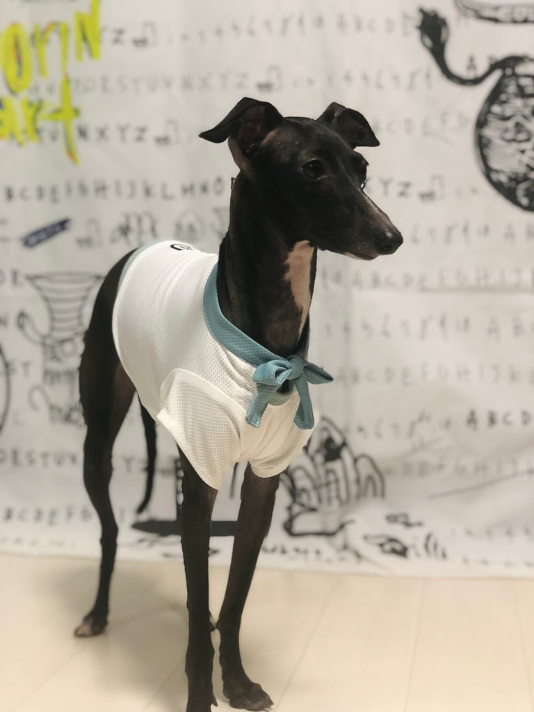 "Engine Marine Look T-Shirt -WHITE