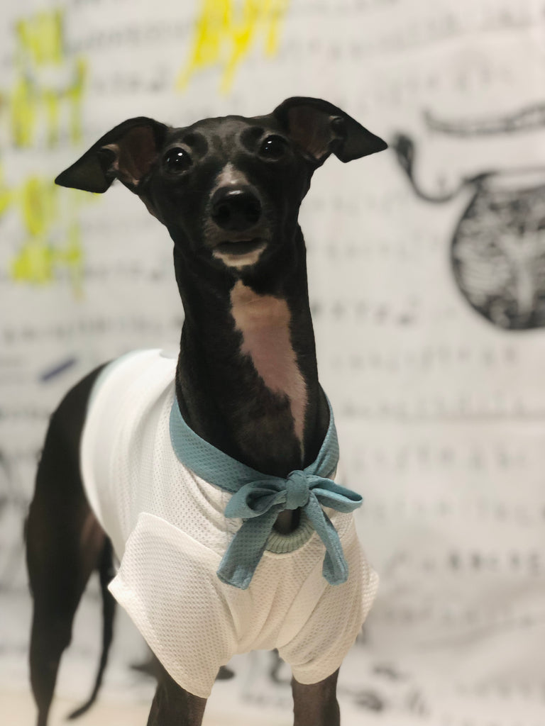 "Engine Marine Look T-Shirt -WHITE