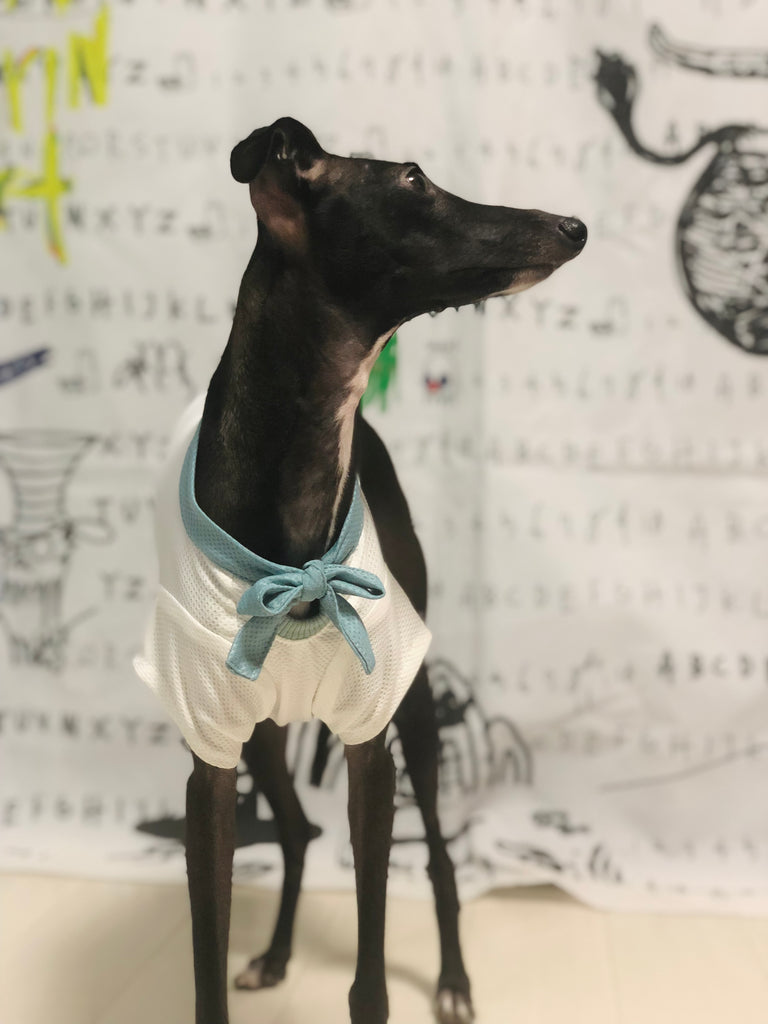 "Engine Marine Look T-Shirt -WHITE