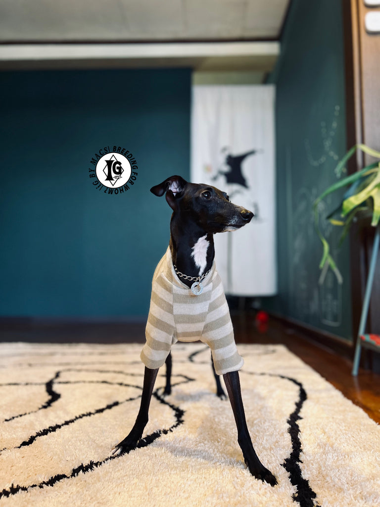 ”Stand-by(BFW?)” ◎帯電防止ルームウェア -2 COLOR