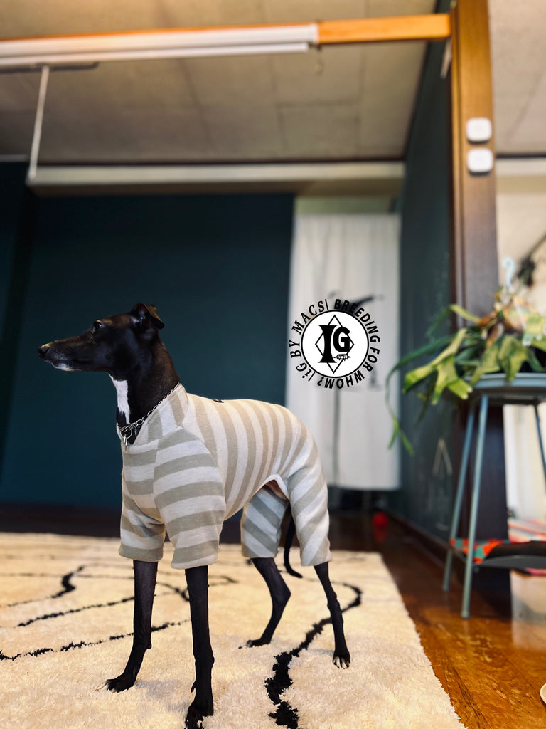 ”Stand-by(BFW?)” ◎帯電防止ルームウェア -2 COLOR