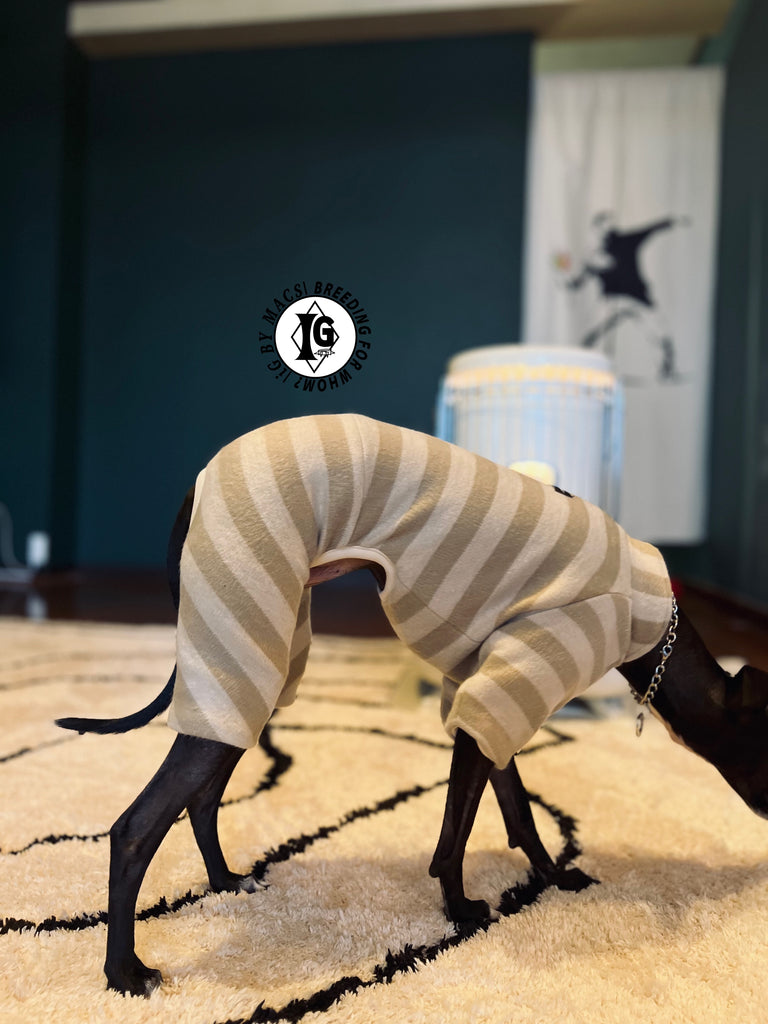 ”Stand-by(BFW?)” ◎帯電防止ルームウェア -2 COLOR