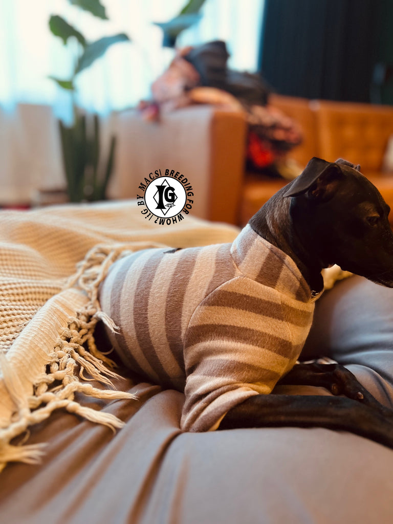 ”Stand-by(BFW?)” ◎帯電防止ルームウェア -2 COLOR