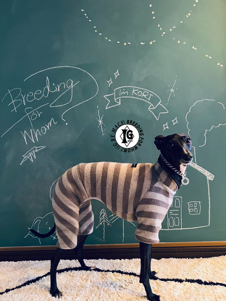 ”Stand-by(BFW?)” ◎帯電防止ルームウェア -2 COLOR