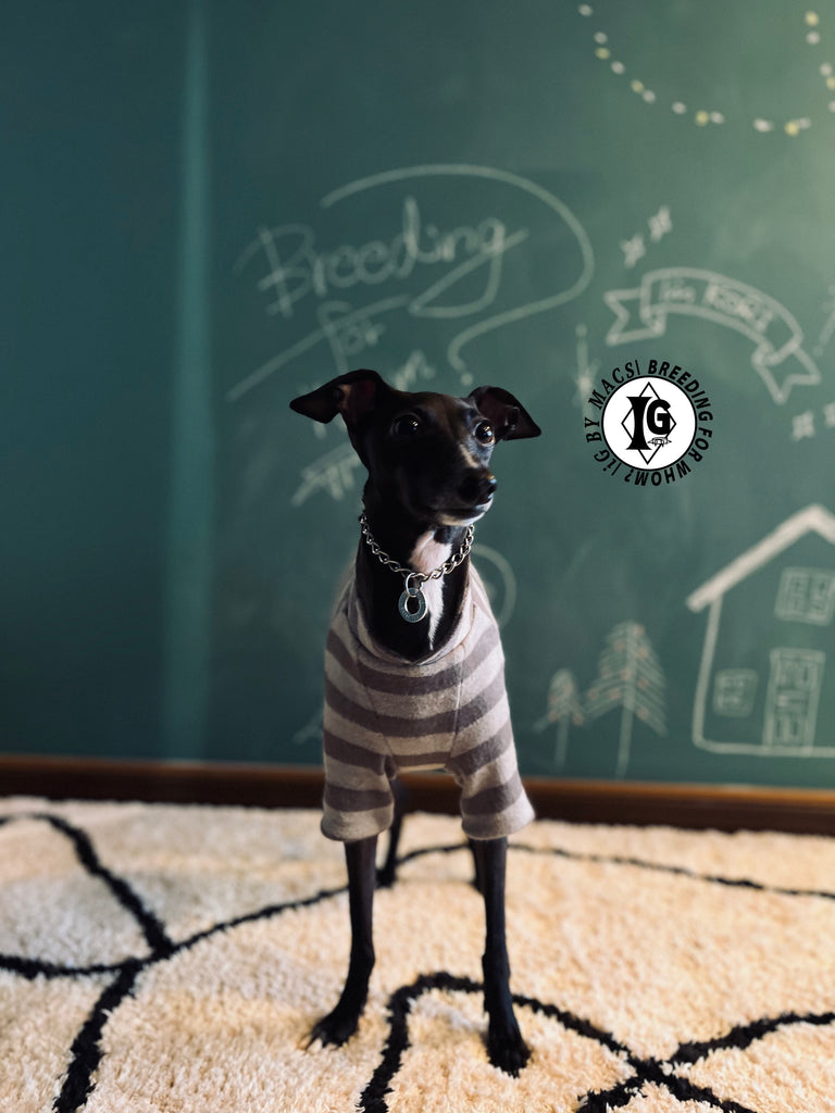 ”Stand-by(BFW?)” ◎帯電防止ルームウェア -2 COLOR