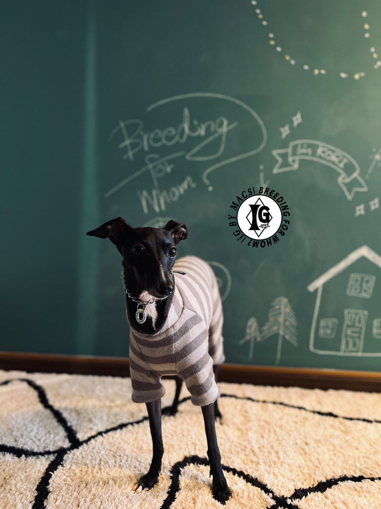 ”Stand-by(BFW?)” ◎帯電防止ルームウェア -2 COLOR