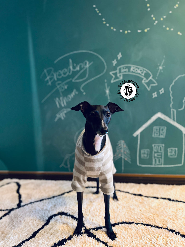 ”Stand-by(BFW?)” ◎帯電防止ルームウェア -2 COLOR