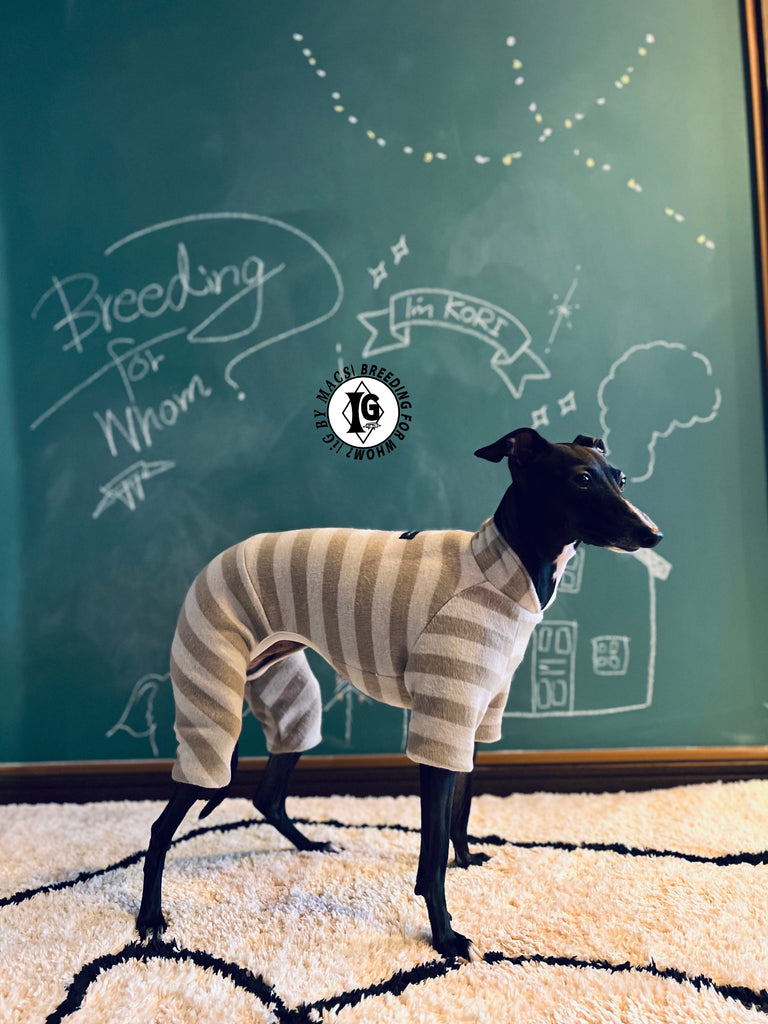 ”Stand-by(BFW?)” ◎帯電防止ルームウェア -2 COLOR