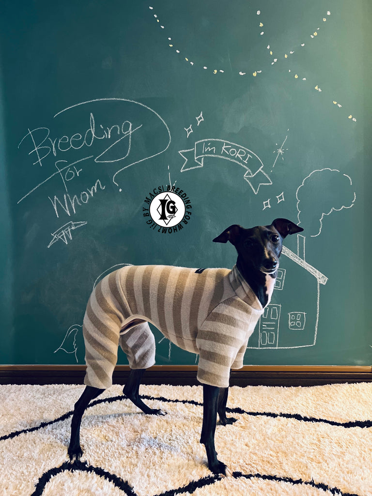 ”Stand-by(BFW?)” ◎帯電防止ルームウェア -2 COLOR