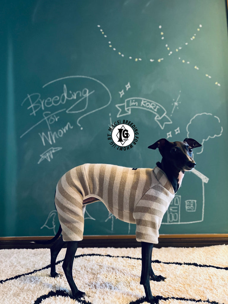 ”Stand-by(BFW?)” ◎帯電防止ルームウェア -2 COLOR