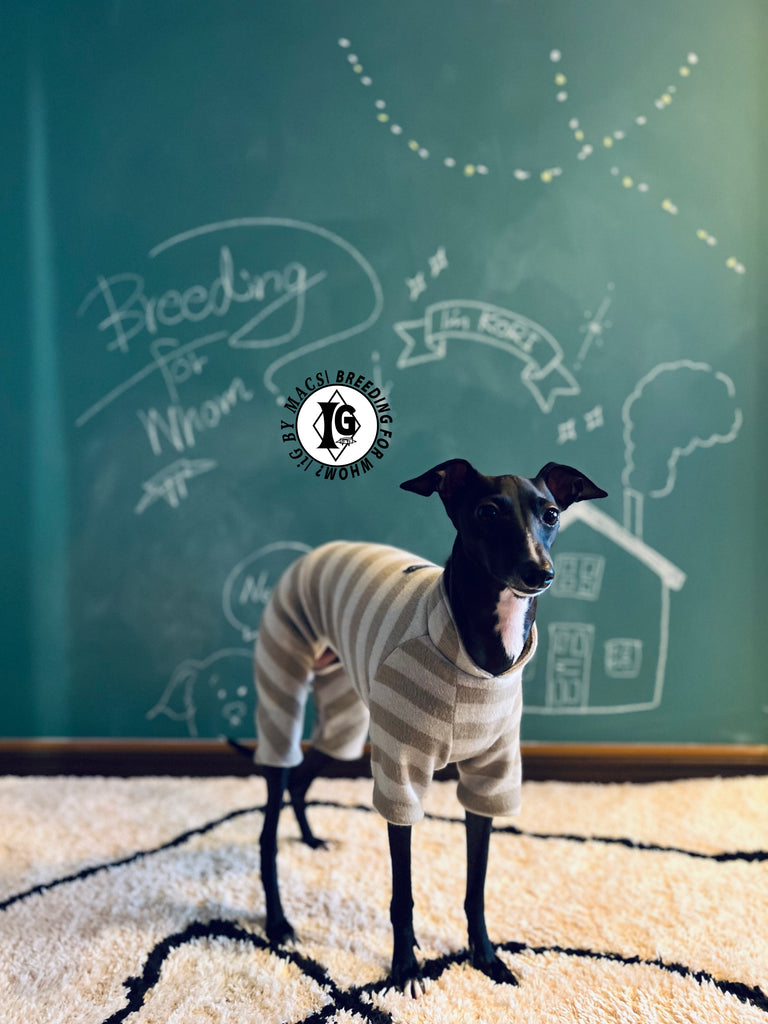 ”Stand-by(BFW?)” ◎帯電防止ルームウェア -2 COLOR