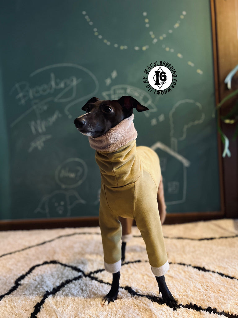 ”Stand-by(BFW?)” Suede Rompers high warm-Mustard