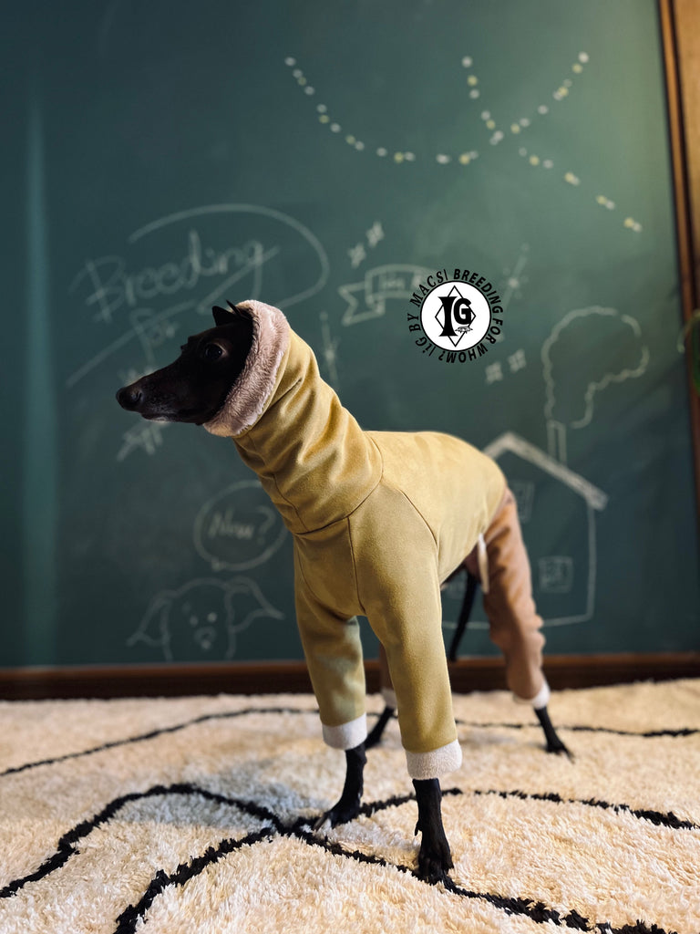 ”Stand-by(BFW?)” Suede Rompers high warm-Mustard