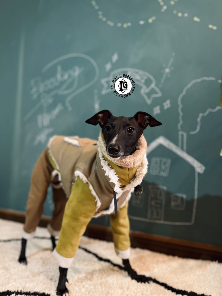 ”Stand-by(BFW?)” Suede Rompers high warm-Mustard