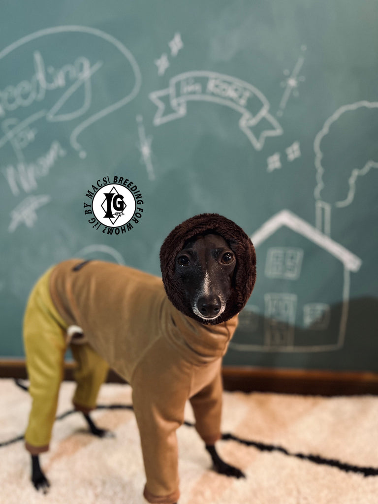 ”Stand-by(BFW?)” Suede Rompers high warm-BROWN