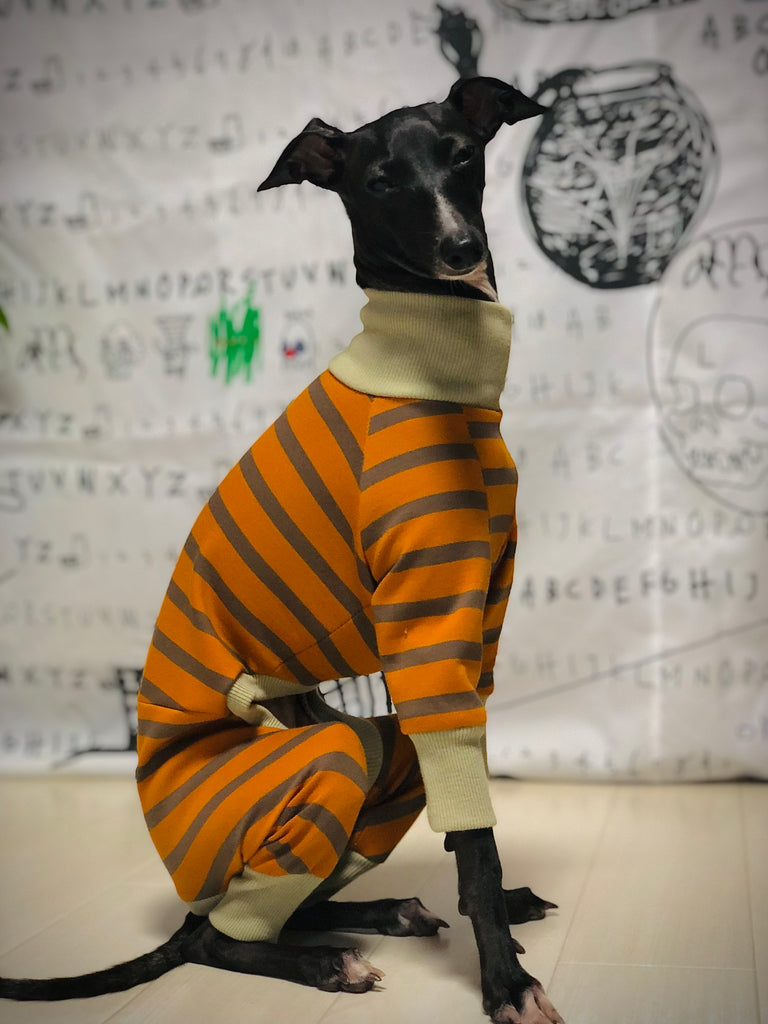 "Paradigm" ROMPERS No.2