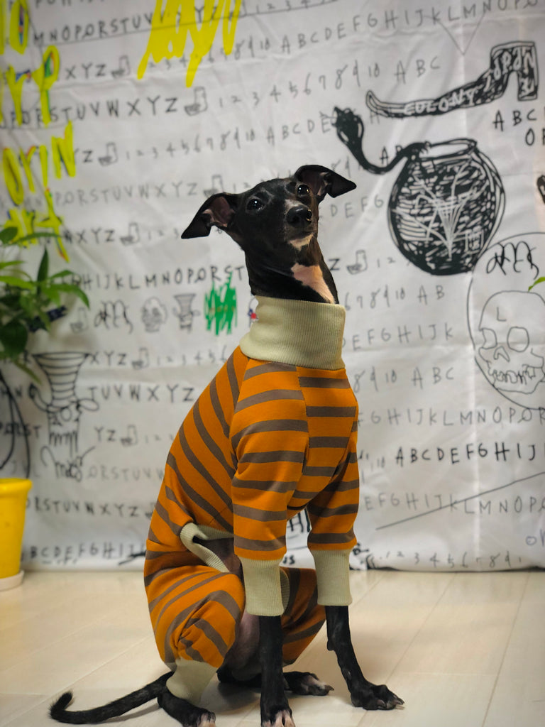 "Paradigm" ROMPERS No.2