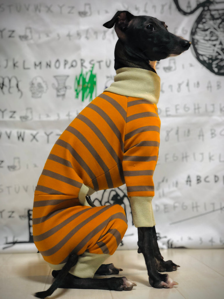 "Paradigm" ROMPERS No.2