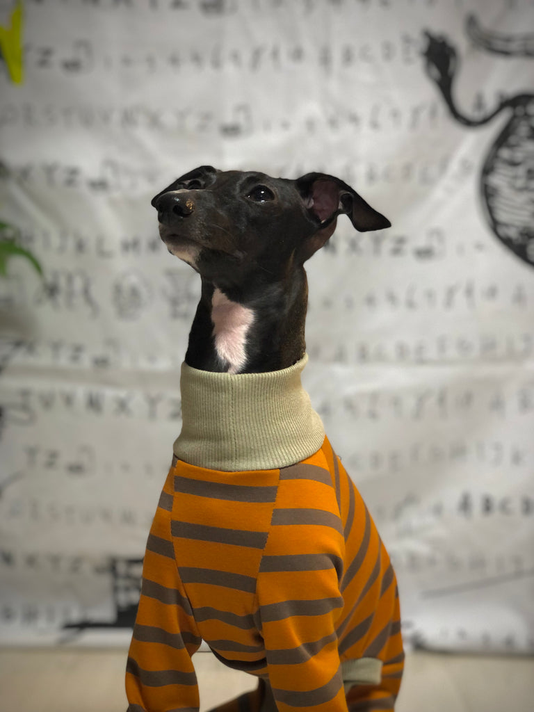 "Paradigm" ROMPERS No.2