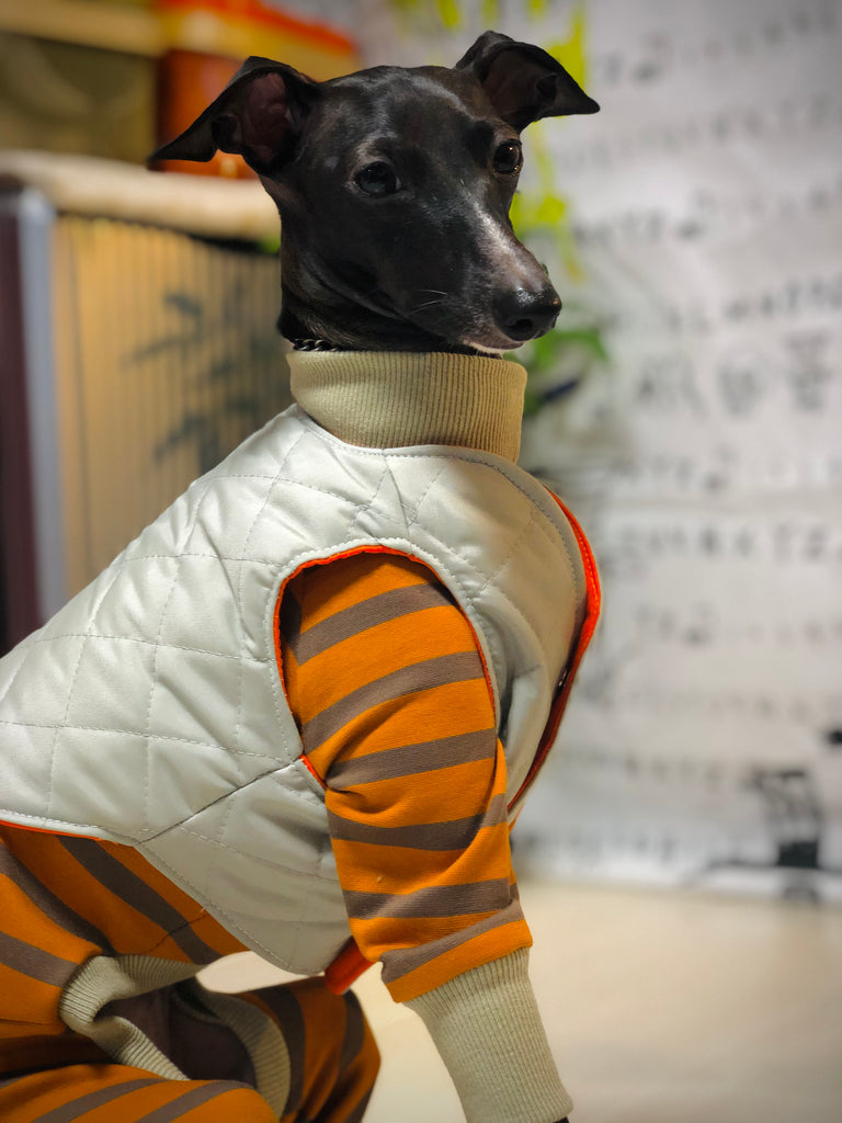 "Paradigm" ROMPERS No.2