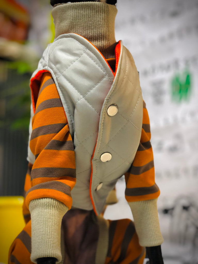 "Paradigm" VEST No.2