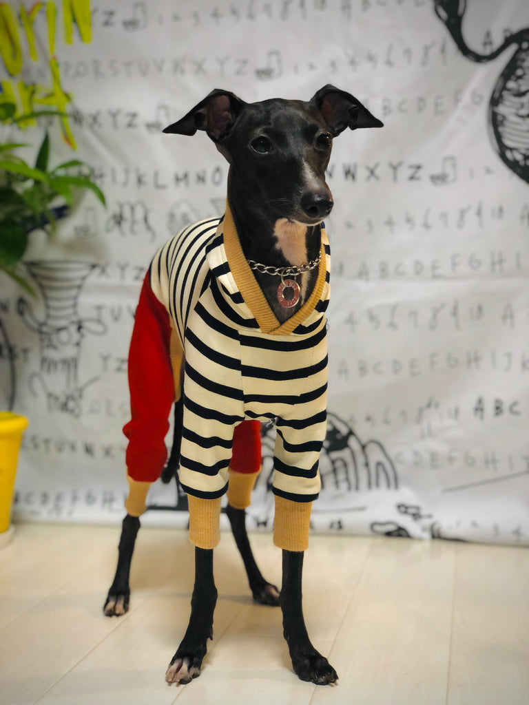 "Paradigm" HOODIE ROMPERS No.1