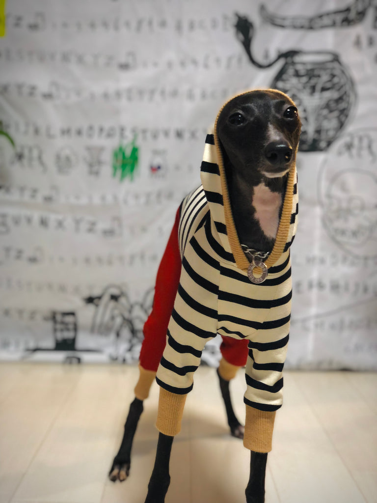 "Paradigm" HOODIE ROMPERS No.1