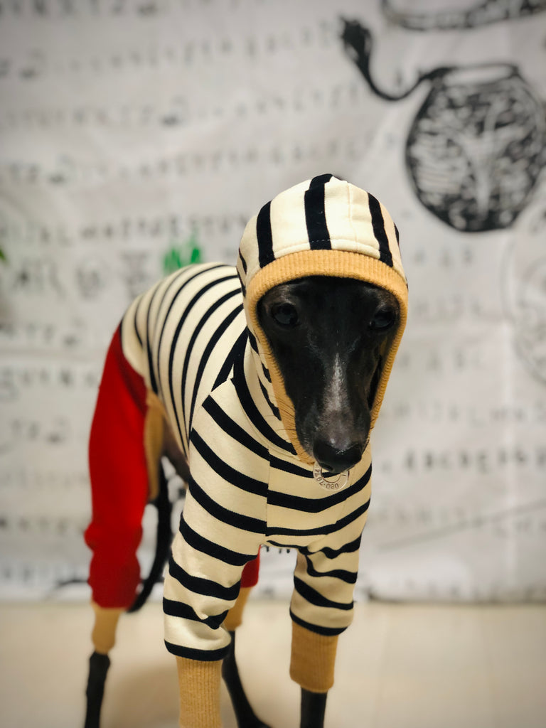 "Paradigm" HOODIE ROMPERS No.1