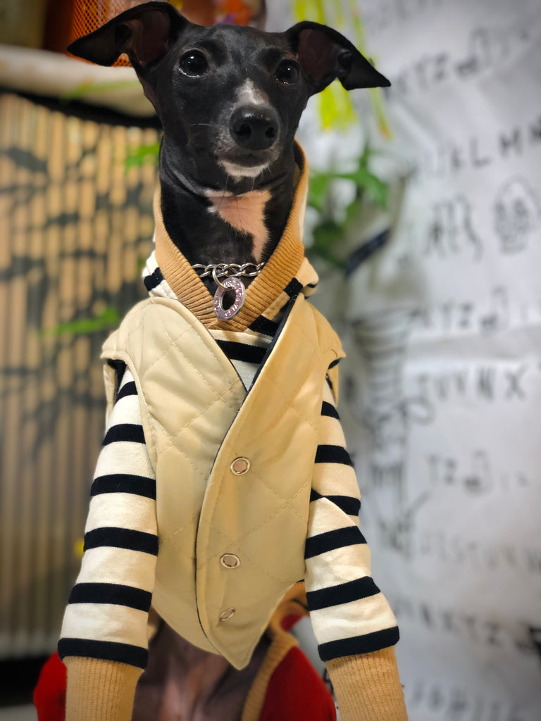 "Paradigm" HOODIE ROMPERS No.1
