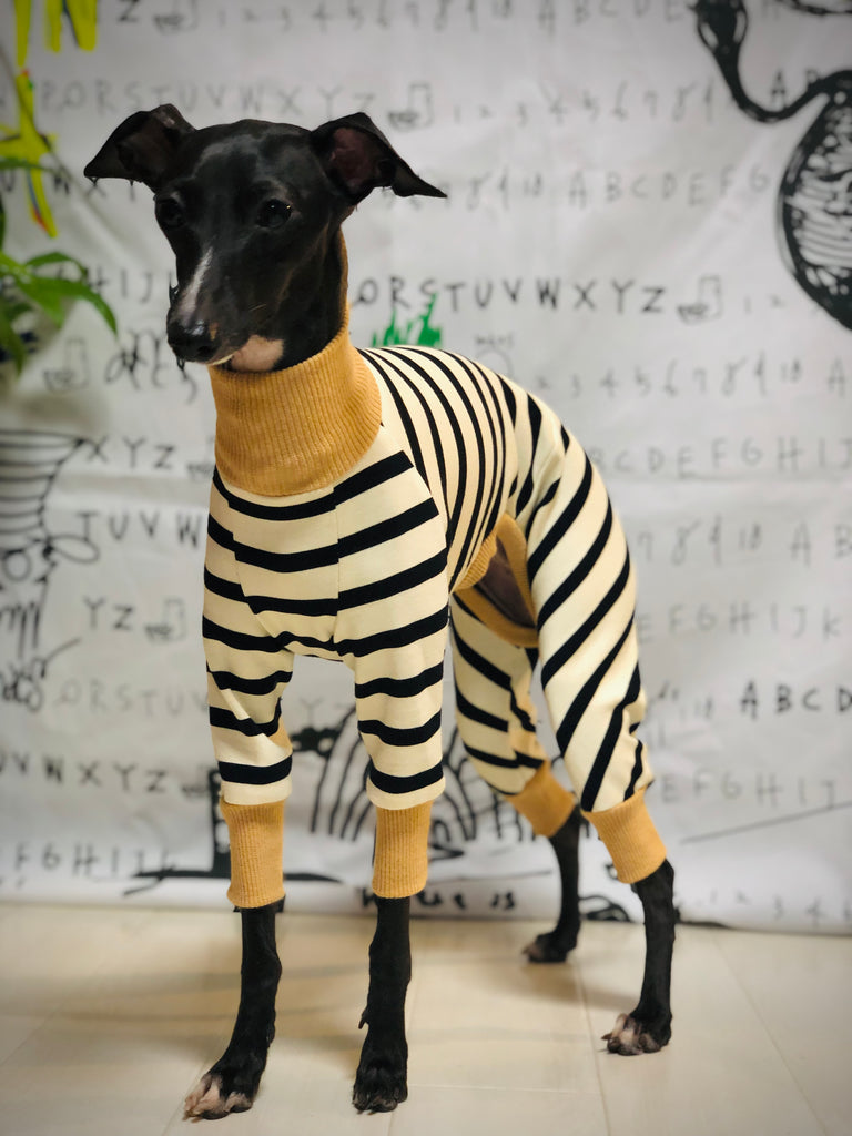 "Paradigm" ROMPERS No.1